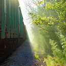 shutterstock_1854889849 (1) (1).jpg